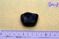 藏品(指骨(模)(早坂犀))的圖片